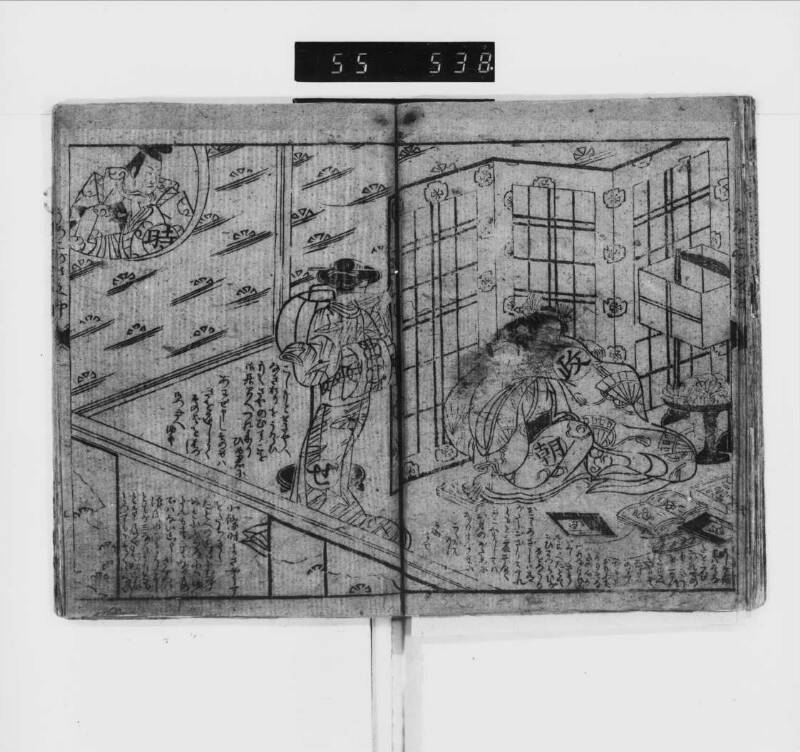 【参考】三升増鱗祖 - ページ 13