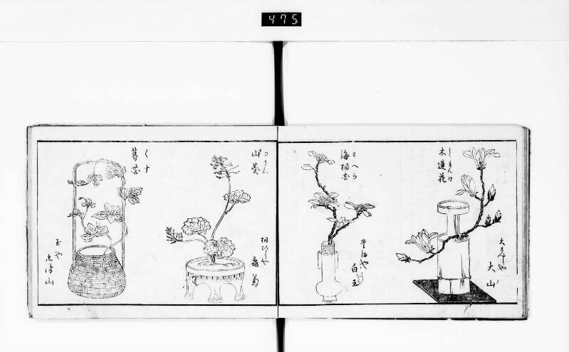 一目千本 - ページ 13
