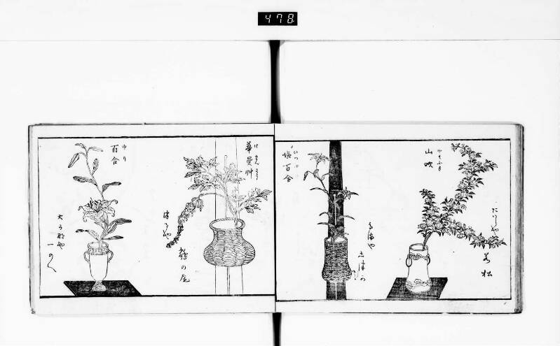 一目千本 - ページ 16