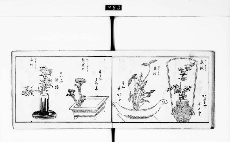 一目千本 - ページ 18