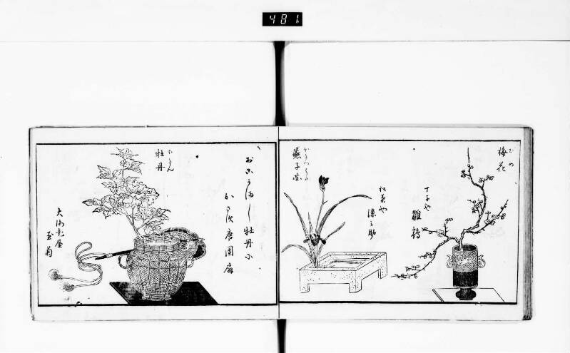 一目千本 - ページ 19