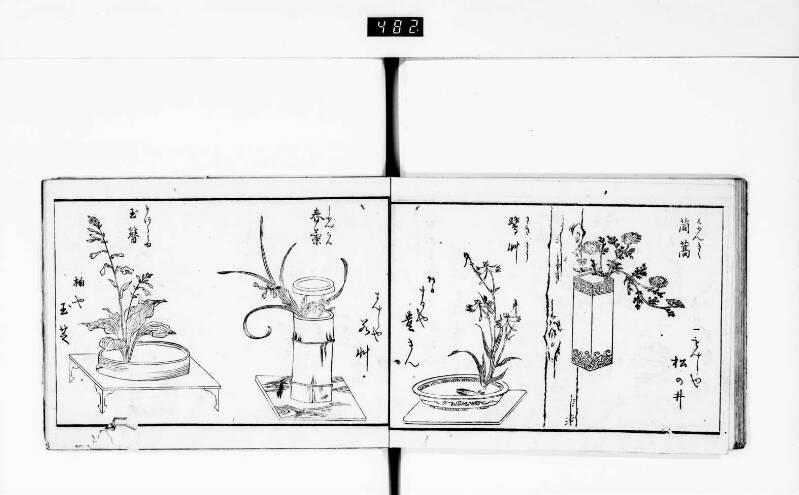 一目千本 - ページ 20