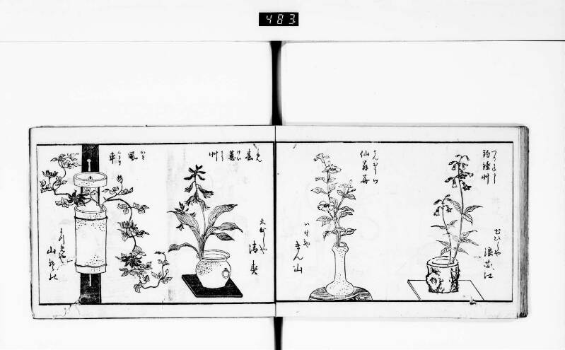 一目千本 - ページ 21