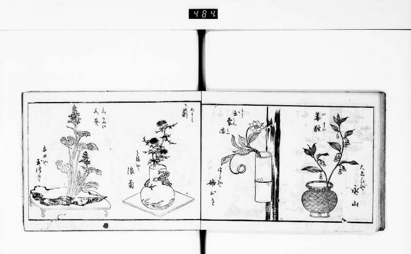 一目千本 - ページ 22
