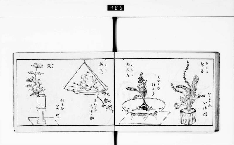 一目千本 - ページ 24