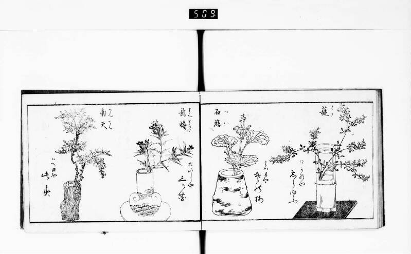 一目千本 - ページ 45