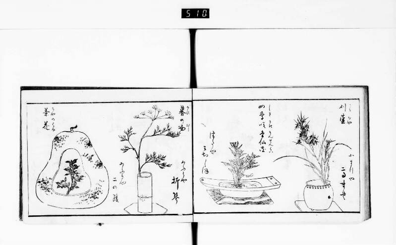一目千本 - ページ 46