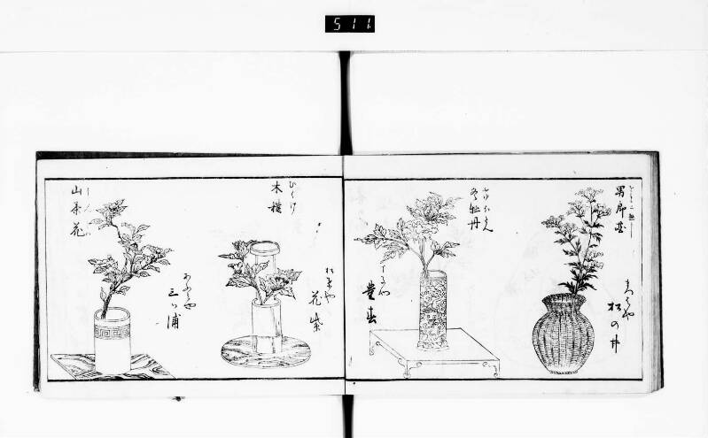 一目千本 - ページ 47