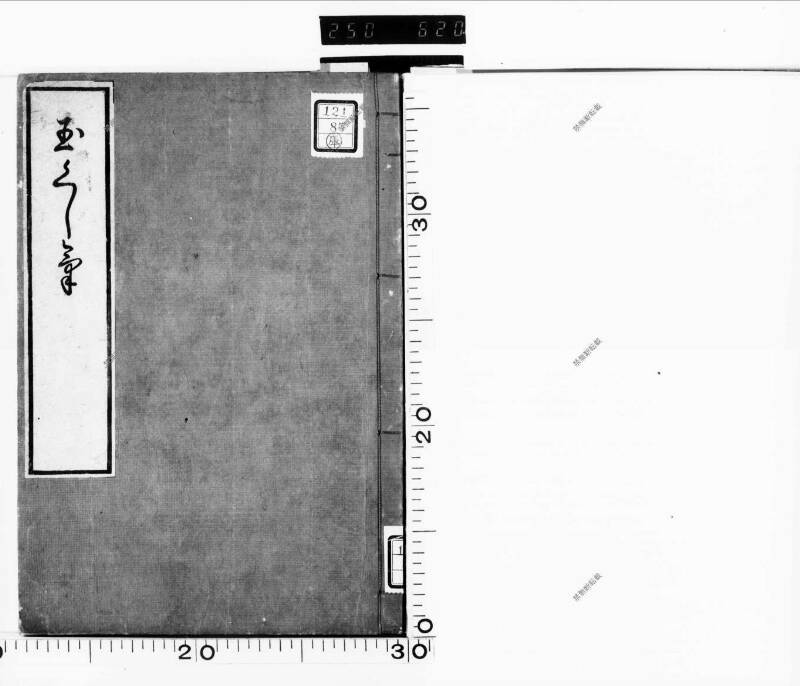 玉くしけ - ページ 2