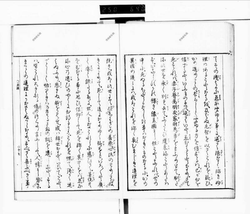 玉くしけ - ページ 22