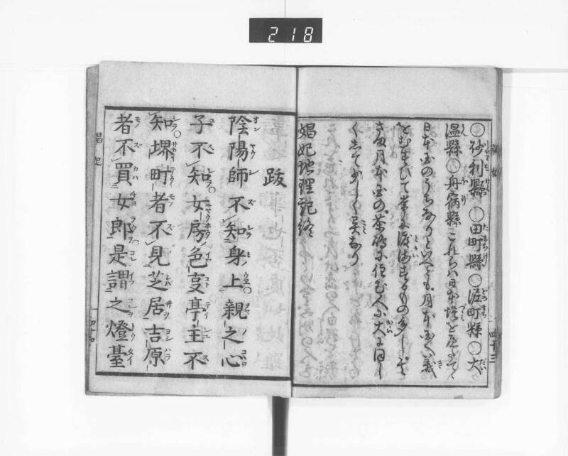 娼妃地理記 - ページ 46