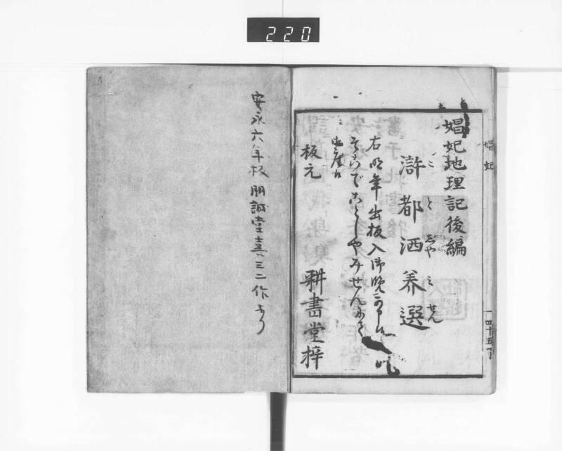 娼妃地理記 - ページ 48