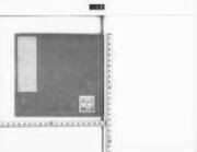 Tennasannenshigatsunijuuninichimichinogokanjoukyouengyokai