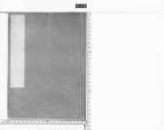 Aneijuunenshigatsuimadegawadainagonsanetanekyoukoninshidai