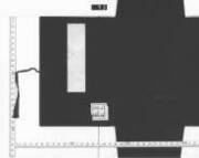 Sechiemonomeshiongyokunokoto