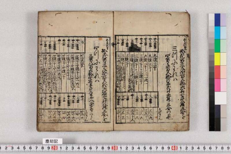 ちんかうき　寛永十一 - ページ 11