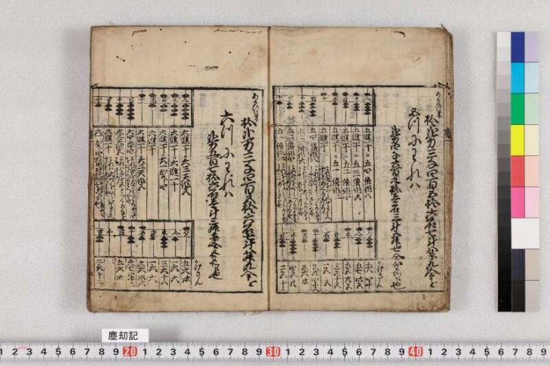 ちんかうき　寛永十一 - ページ 12