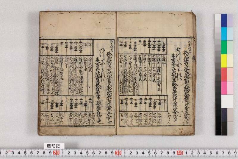 ちんかうき　寛永十一 - ページ 13