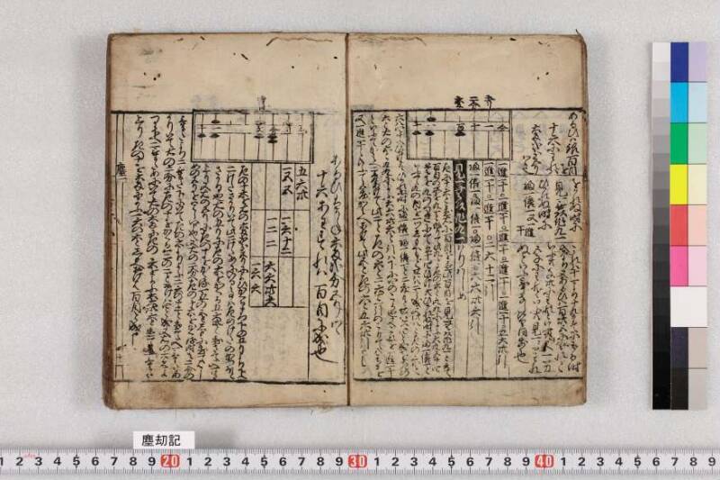 ちんかうき　寛永十一 - ページ 15