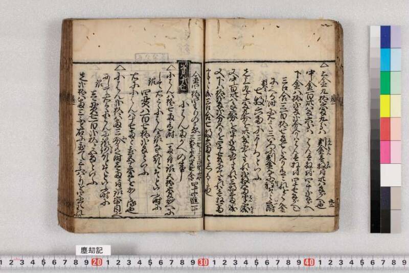 ちんかうき　寛永十一 - ページ 36