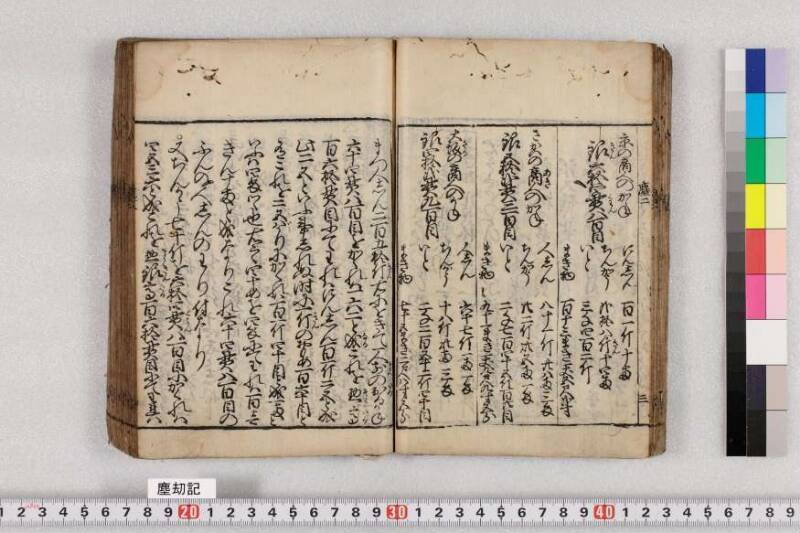 ちんかうき　寛永十一 - ページ 46