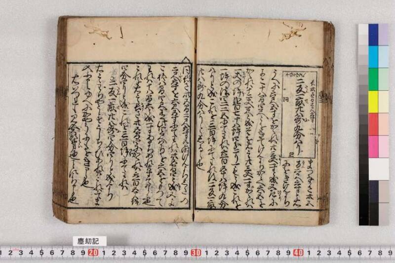 ちんかうき　寛永十一 - ページ 51