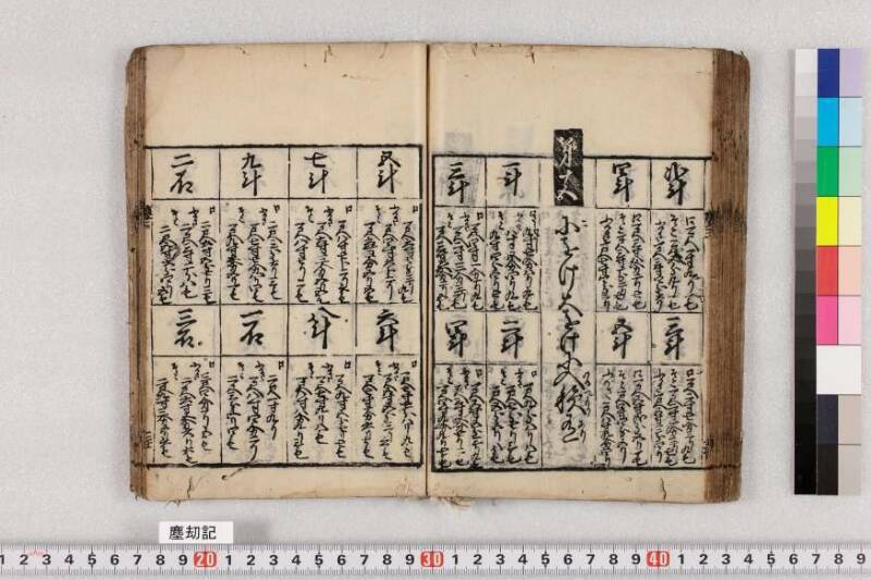 ちんかうき　寛永十一 - ページ 113