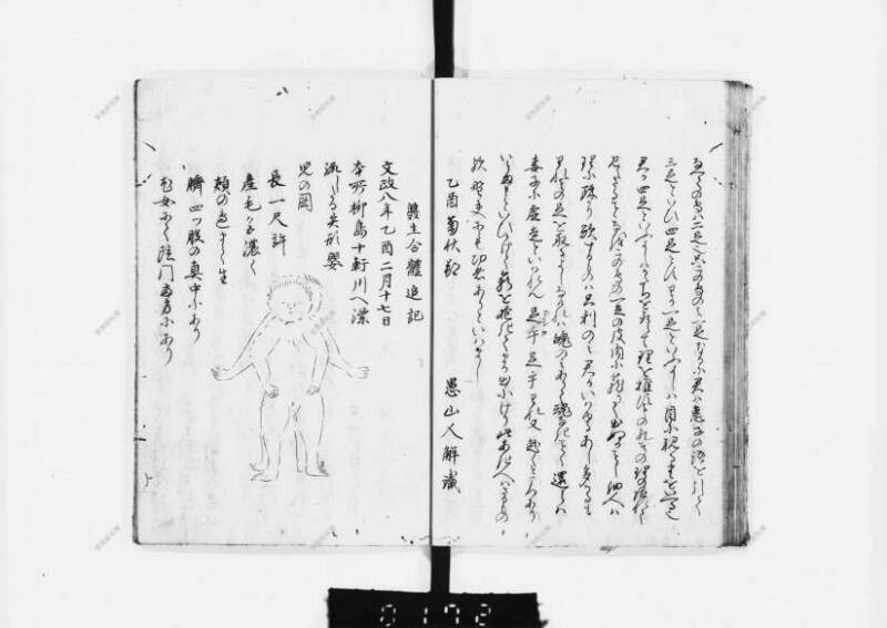 兎園小説 - ページ 32