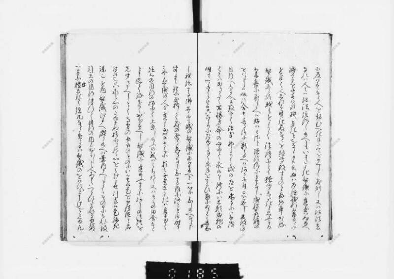 兎園小説 - ページ 43