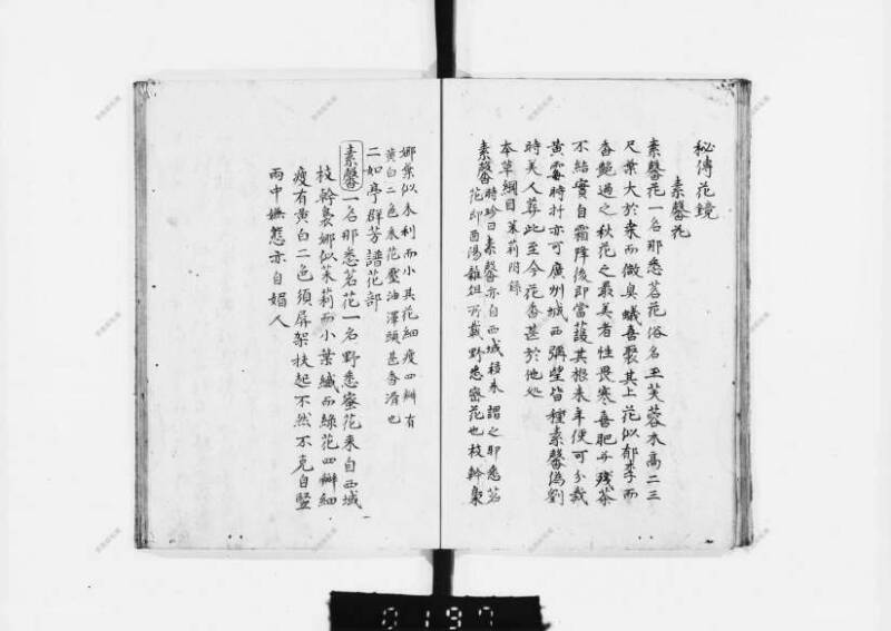兎園小説 - ページ 55