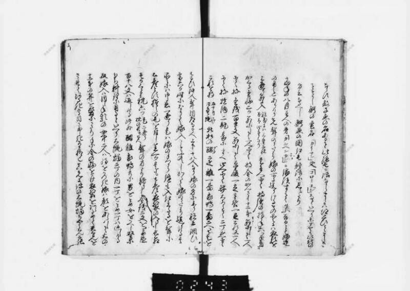 兎園小説 - ページ 99