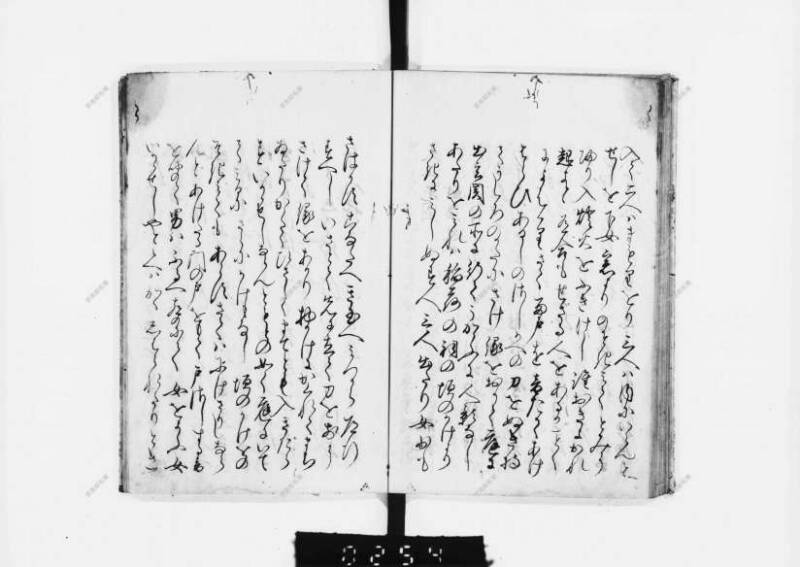 兎園小説 - ページ 110