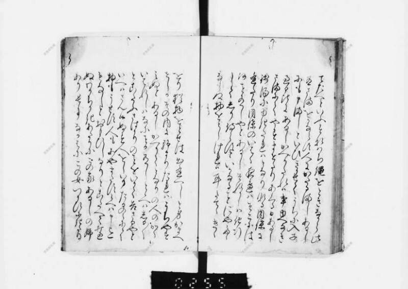 兎園小説 - ページ 111
