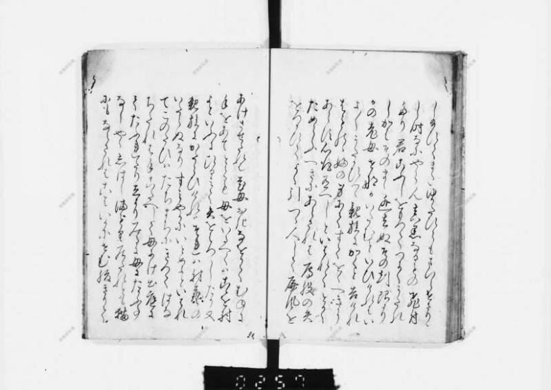 兎園小説 - ページ 113