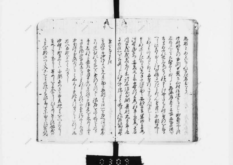 兎園小説 - ページ 163