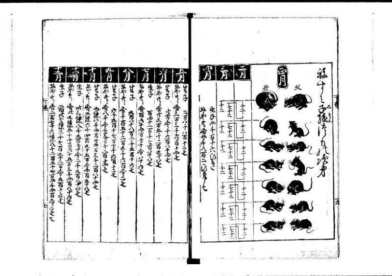 塵劫記（寛永四年序、岡本刊004） - ページ 112