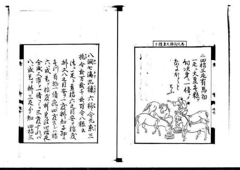 方円秘見集 写本 岡本刊033 - ページ 52