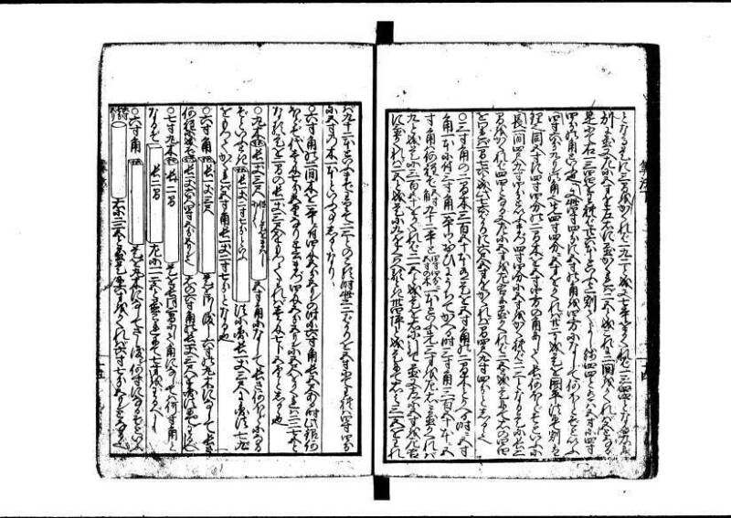(再刻改正)新編塵劫記大成 寛文九 岡本刊237 - ページ 46