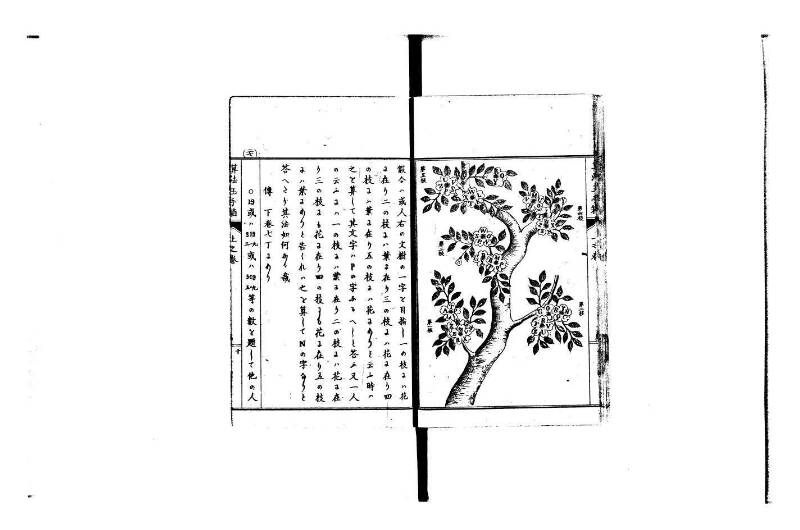 普通算法玉手箱 岡本刊386 - ページ 16