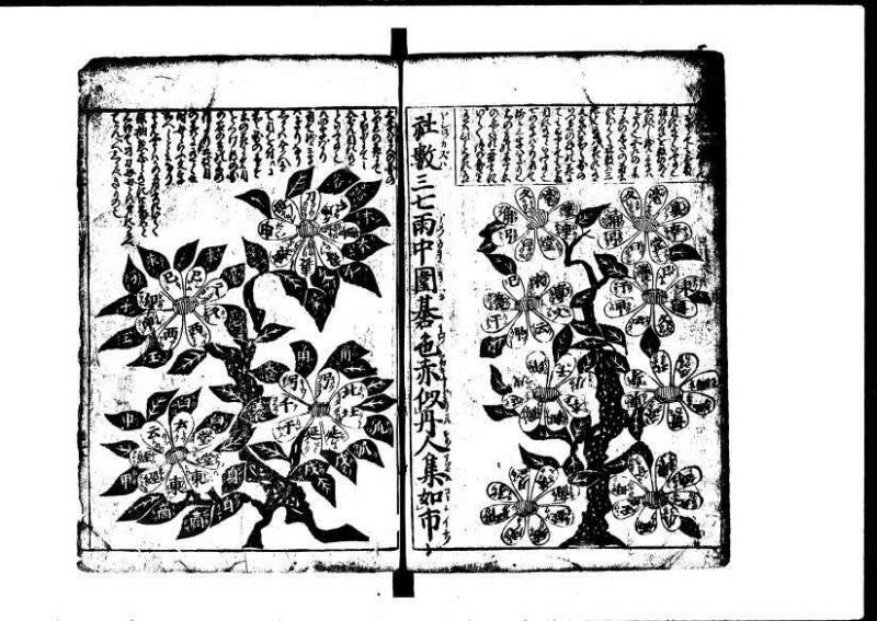 新篇塵劫記 元禄十 狩7-19839-1 - ページ 52