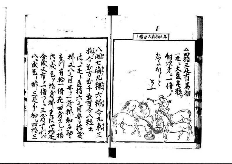 方圓祕見集 寛文七〈江戸〉板木屋甚九郎 狩7-20558-3 写真だけ違う - ページ 53