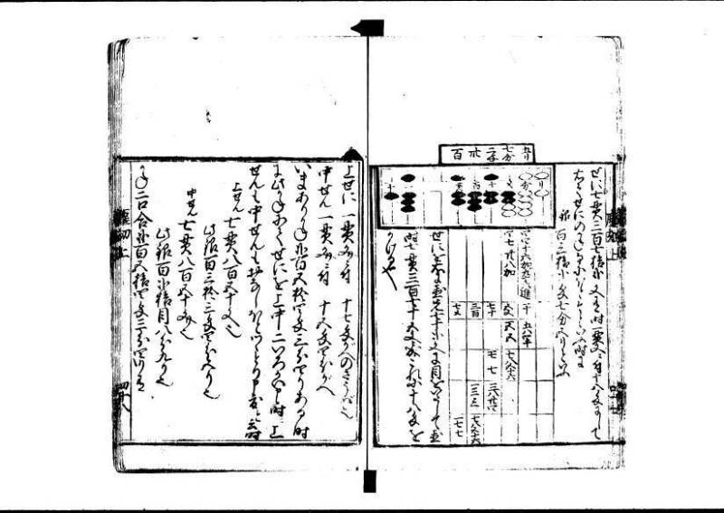 新編塵劫記 寬永十八霜月 藤原集書001 - ページ 49