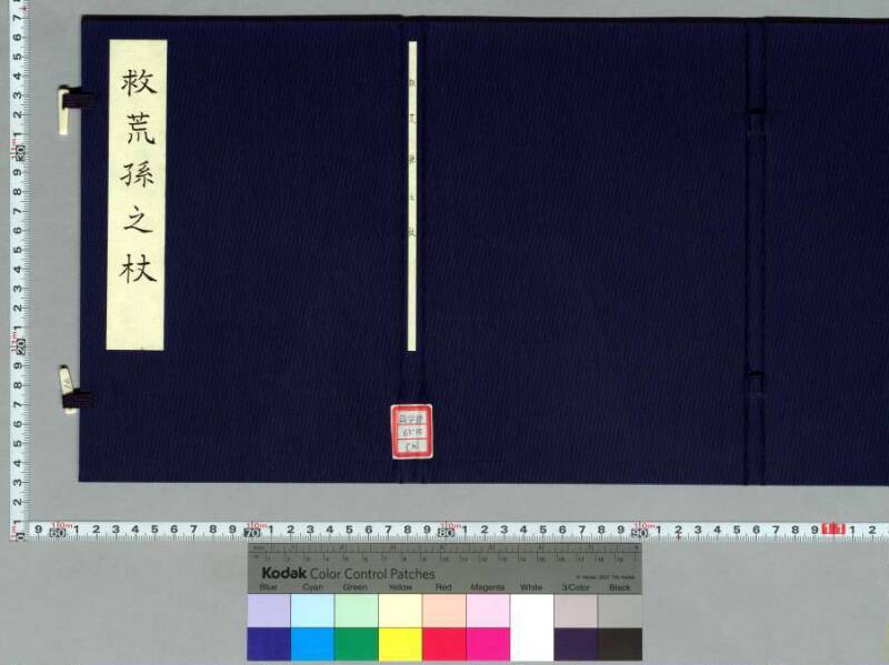 救荒孫の杖 - ページ 3
