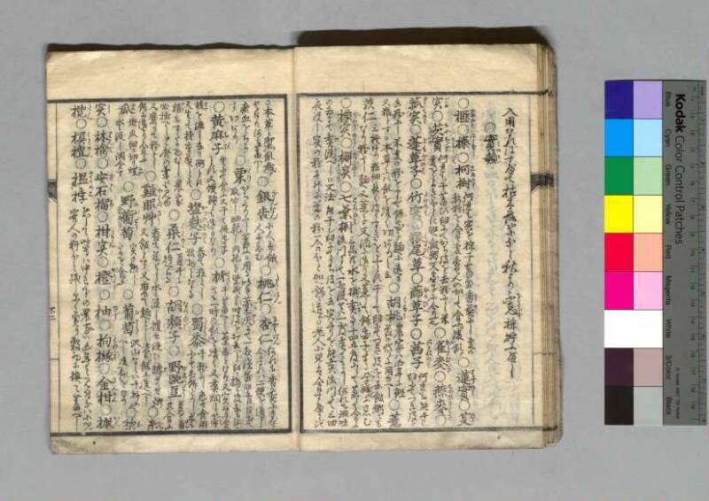 救荒孫の杖 - ページ 25