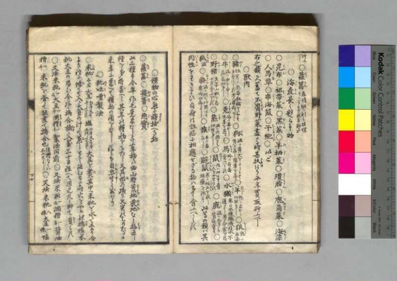 救荒孫の杖 - ページ 30