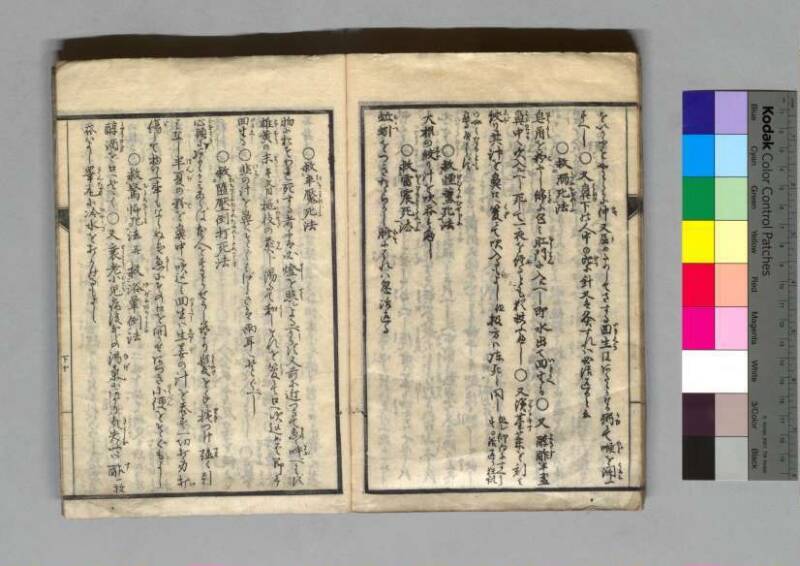 救荒孫の杖 - ページ 33