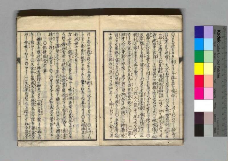 救荒孫の杖 - ページ 34