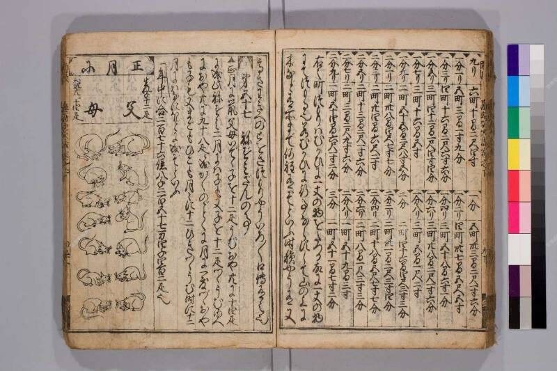 廣益(改筭)塵劫記大成 元禄十 弘前図書館W419-55 - ページ 77