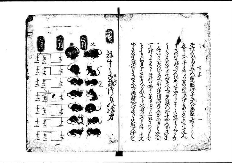 塵劫記 寛永九年 林文庫0545 - ページ 51