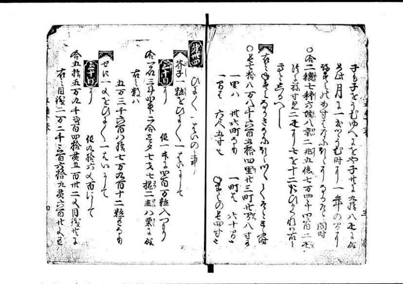塵劫記 寛永九年 林文庫0545 - ページ 53